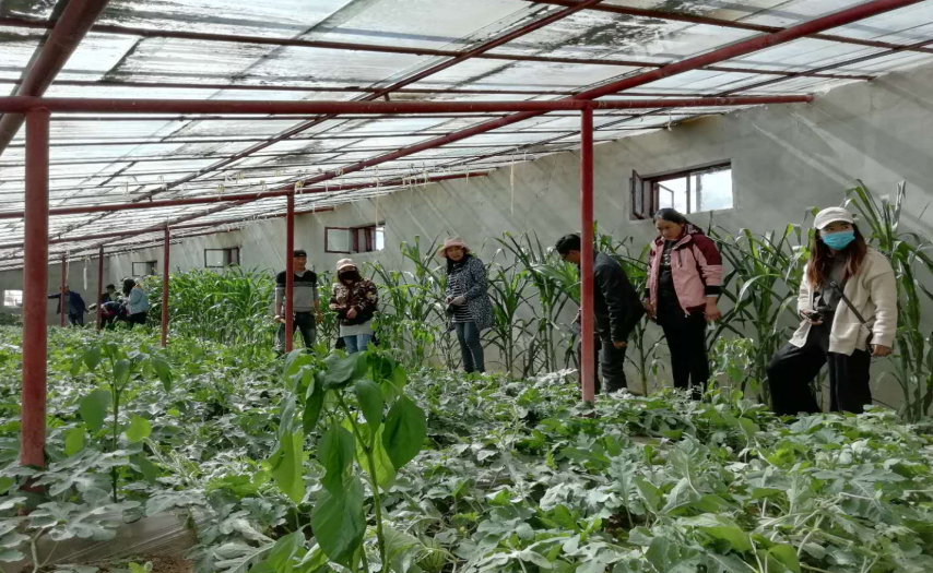 2018年6月霍爾鄉幫仁村的溫室蔬菜大棚.