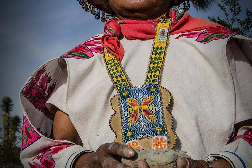 Huicholes: The Last Peyote Guardians Huicholes: The Last Peyote Guardians