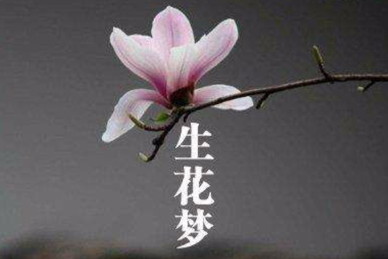 生花夢下 生花夢下