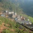 箐頭村(雲南省楚雄市大地基鄉箐頭村) 箐頭村(雲南省楚雄市大地基鄉箐頭村)
