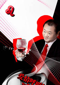 愛情呼叫轉移Ⅱ：愛情左右(2008年上映電影)