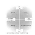定量研究 定量研究