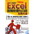 Excel2007數據處理與分析實例大全