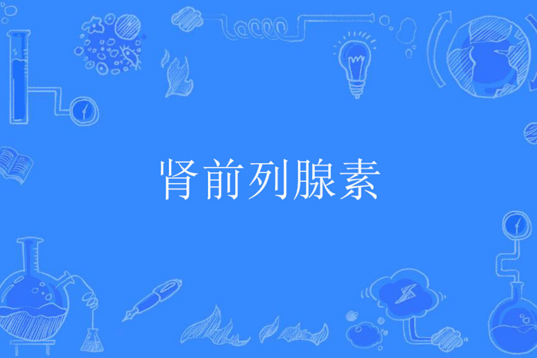 腎前列腺素 腎前列腺素