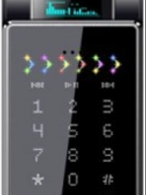 知己Z1001 知己Z1001