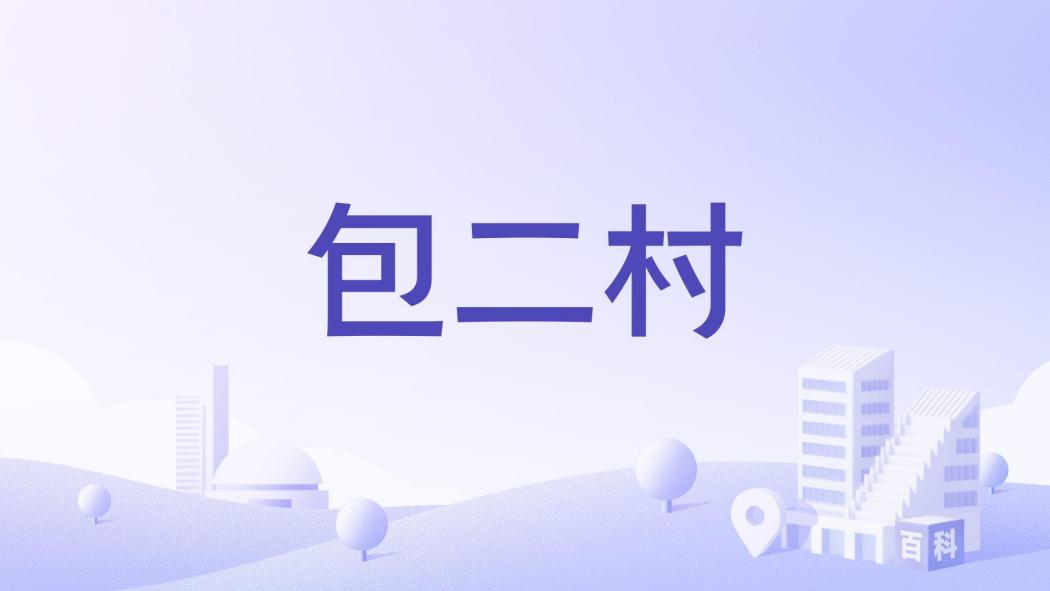 包二村 包二村