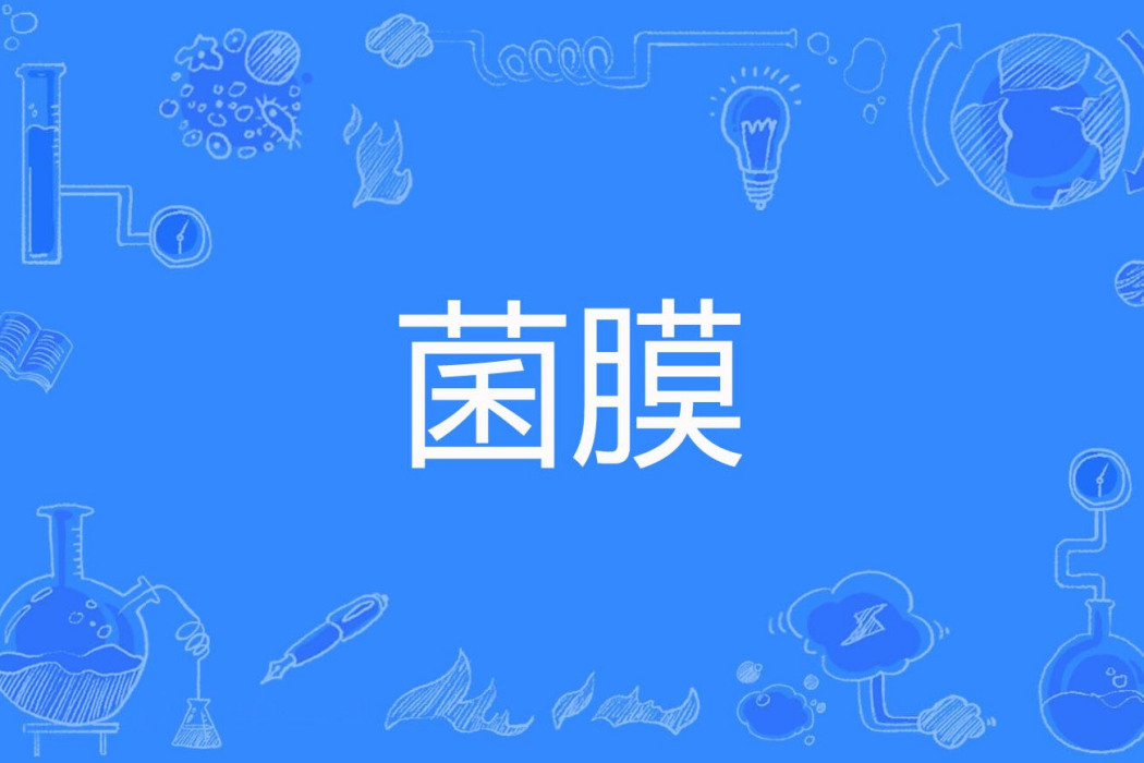 菌膜 菌膜