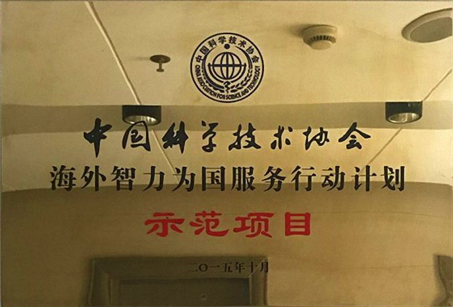 海外智力為國服務行動計畫(海智計畫) 海外智力為國服務行動計畫(海智計畫)