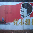 黨小組長 黨小組長