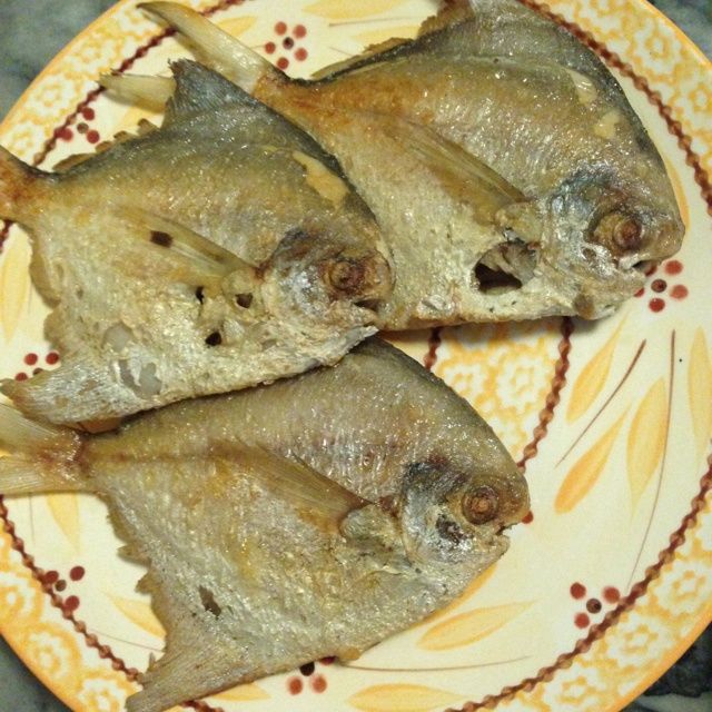 香煎白倉 香煎白倉