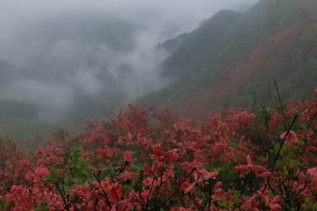 黃忠寨