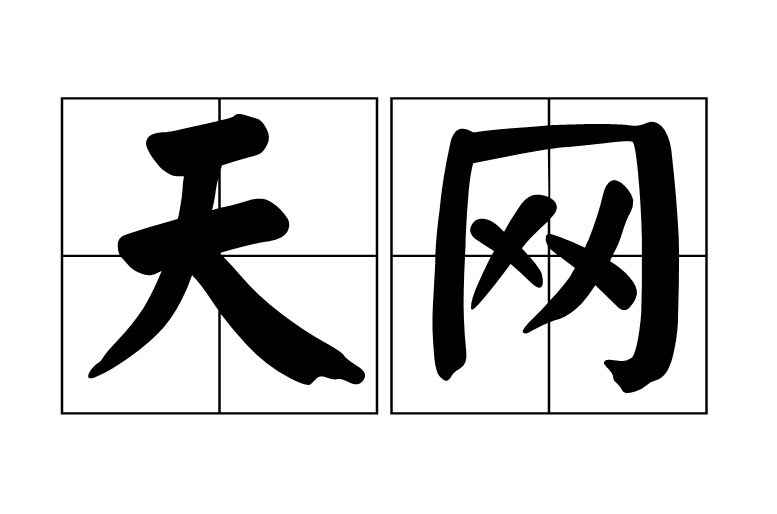天網(漢語辭彙)