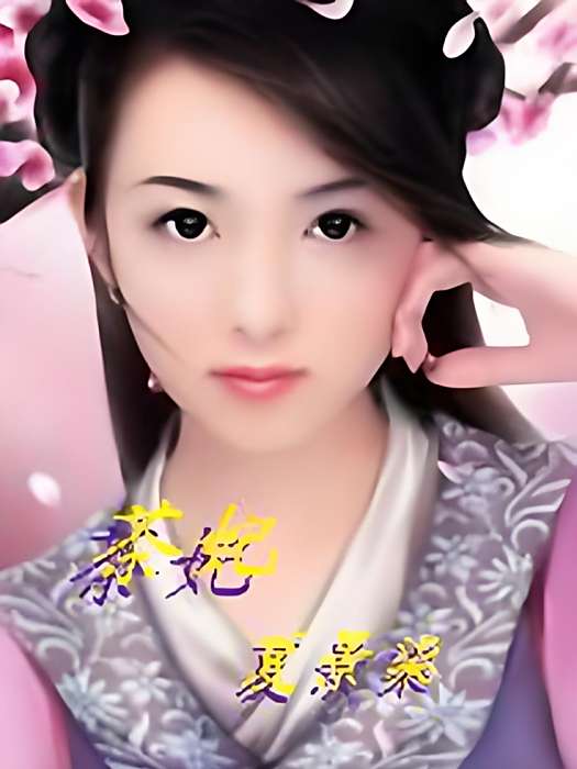 茶妃 茶妃