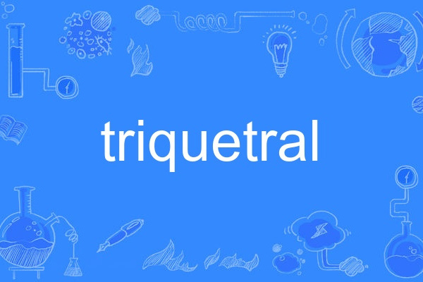 triquetral triquetral