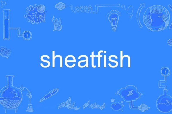 sheatfish sheatfish