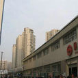 上海捷運鎮坪路站