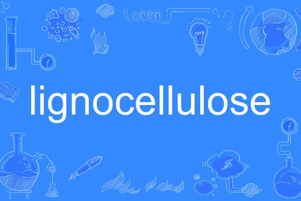 lignocellulose