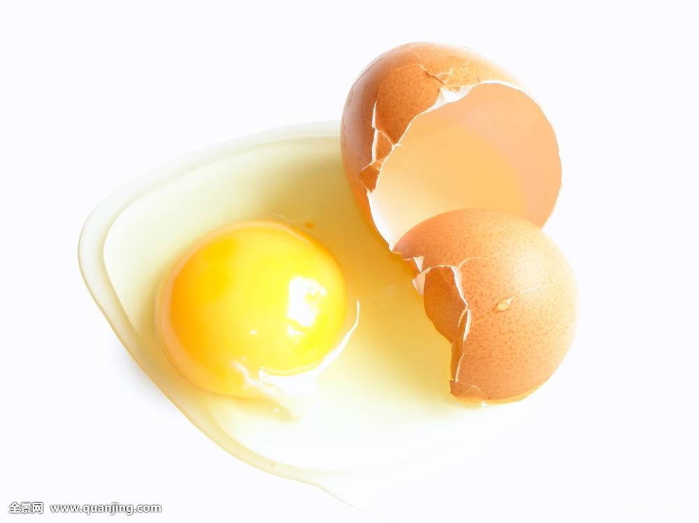 蛋(卵生動物的卵)