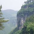 烏龍山(湖南省湘西州烏龍山) 烏龍山(湖南省湘西州烏龍山)