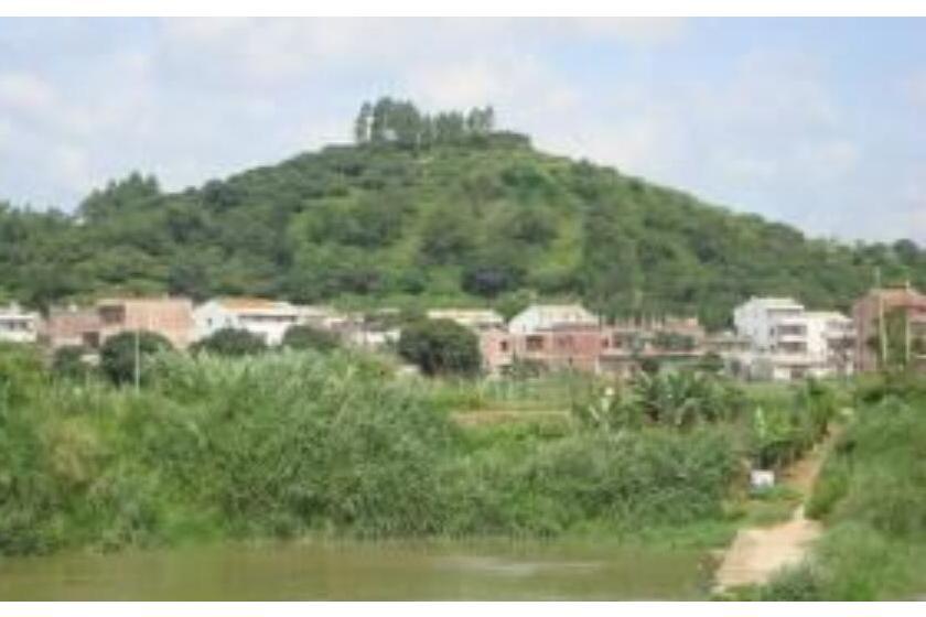 姑山村 姑山村