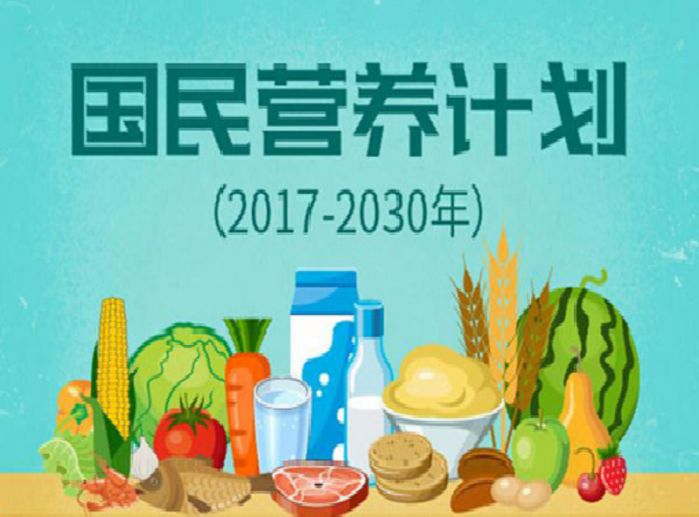 國民營養計畫（2017-2030年）
