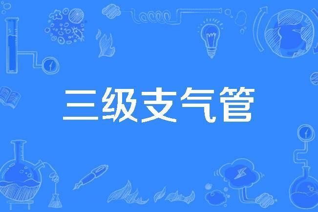 三級支氣管 三級支氣管