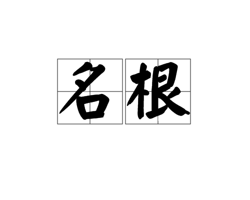 名根 名根
