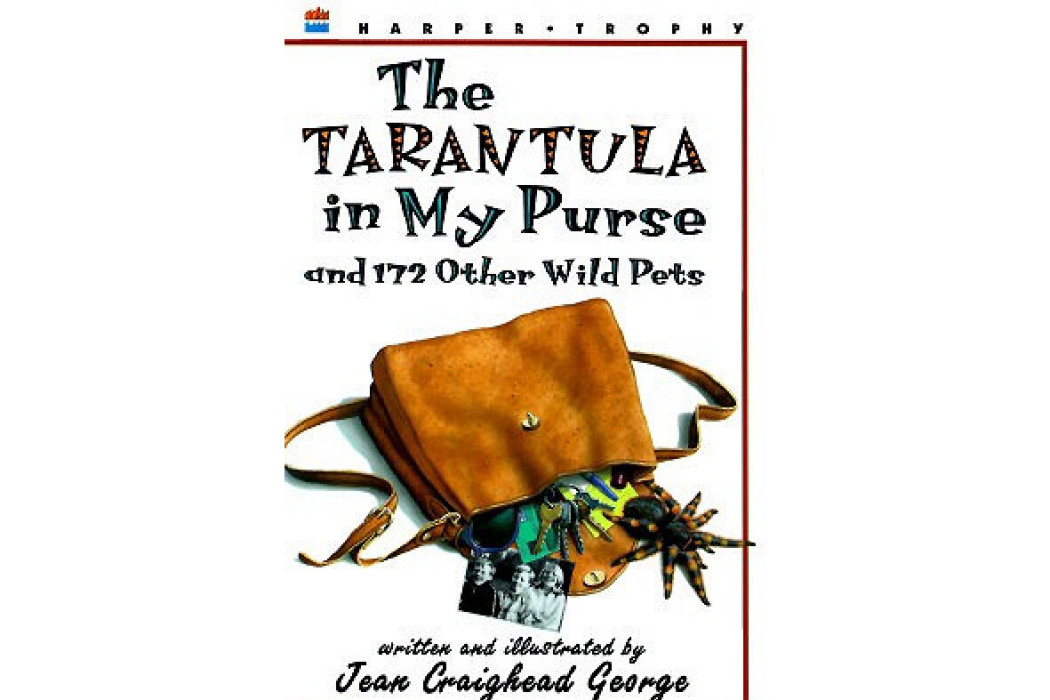 The Tarantula in My Purse The Tarantula in My Purse