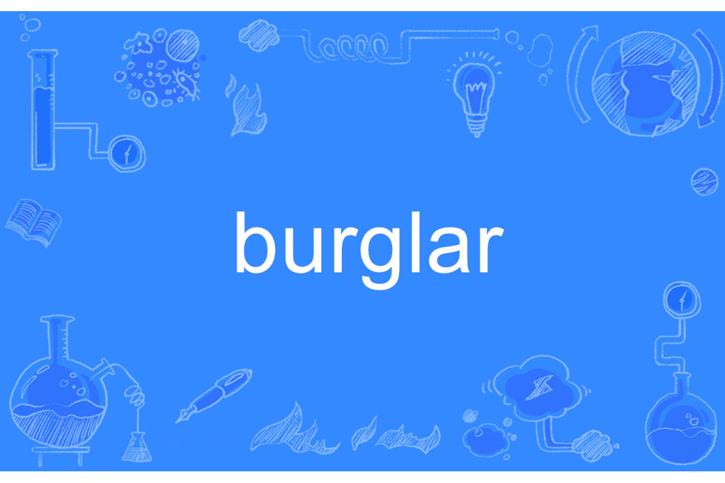 burglar burglar