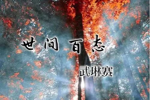世間百態(武琳賽演唱歌曲) 世間百態(武琳賽演唱歌曲)