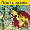 國家地理百年紀念典藏-大堡礁