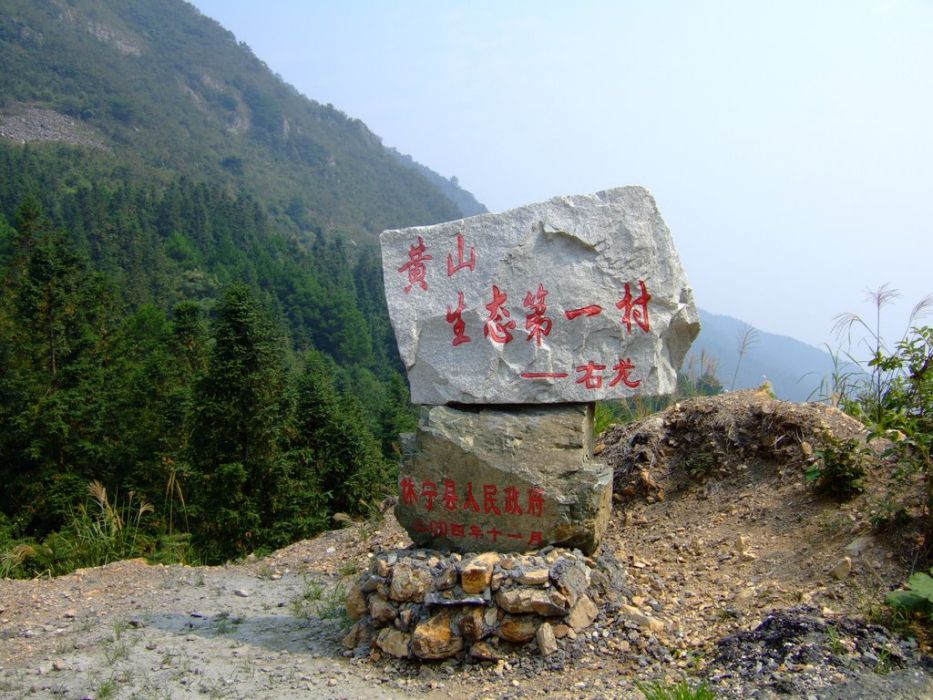 前龍村(安徽省金寨縣全軍鄉下轄村) 前龍村(安徽省金寨縣全軍鄉下轄村)