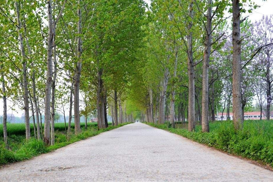 棗杭村(山東濟寧市汶上縣) 棗杭村(山東濟寧市汶上縣)