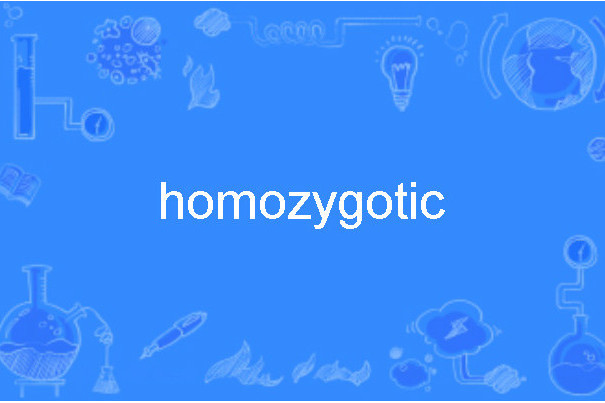 homozygotic homozygotic
