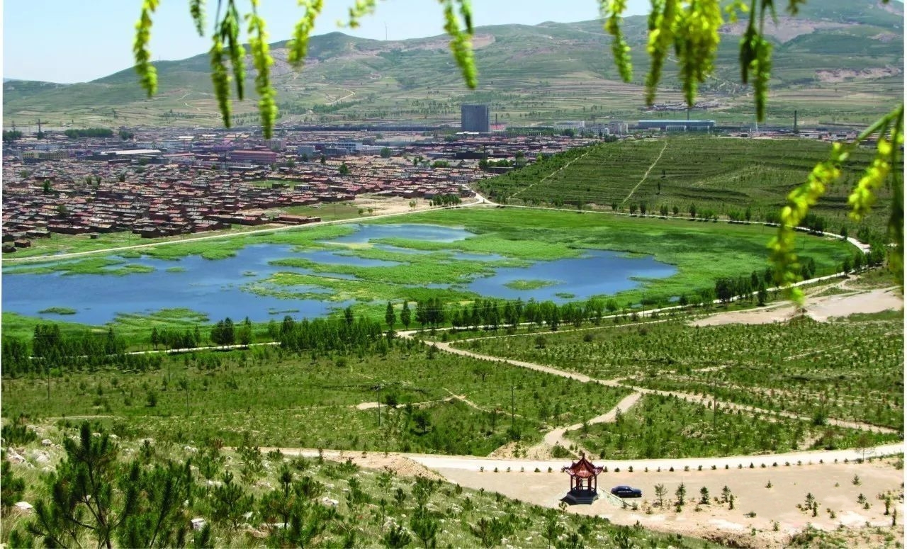 忻州(忻州市)