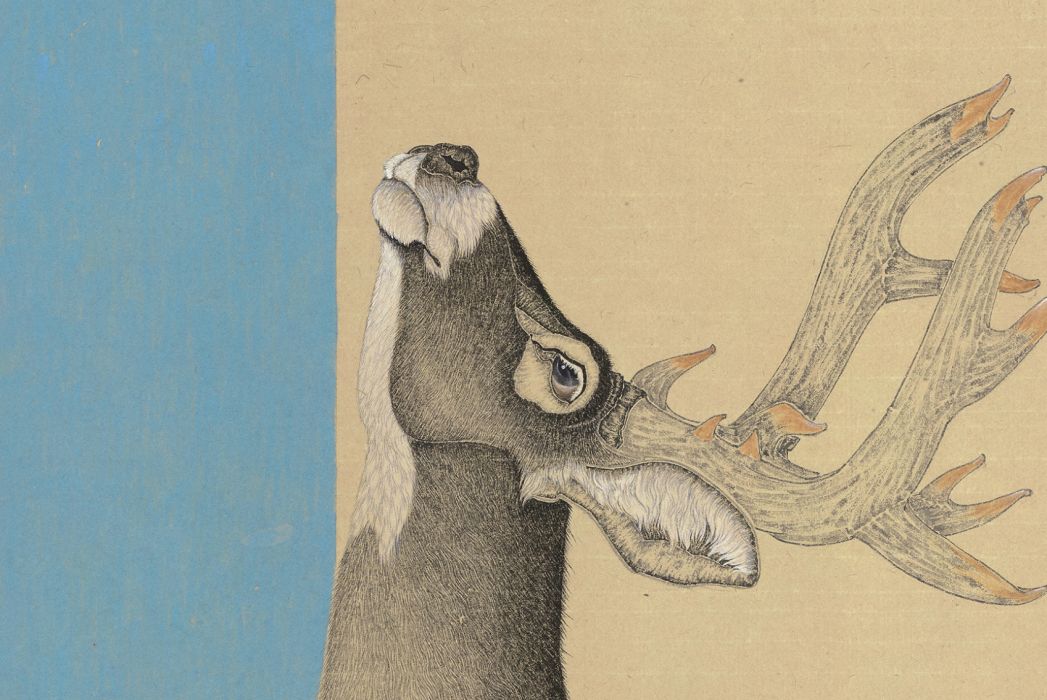 鶴鹿同春(王文濤國畫作品)