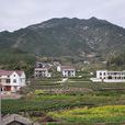 水畈村