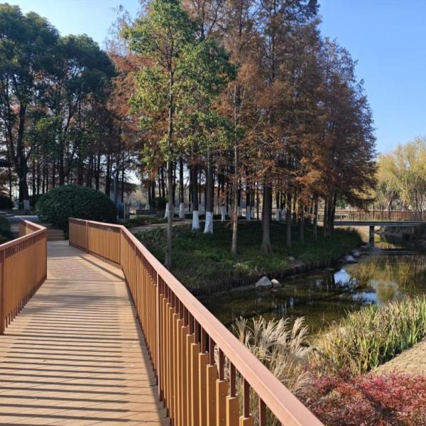 沈楊村