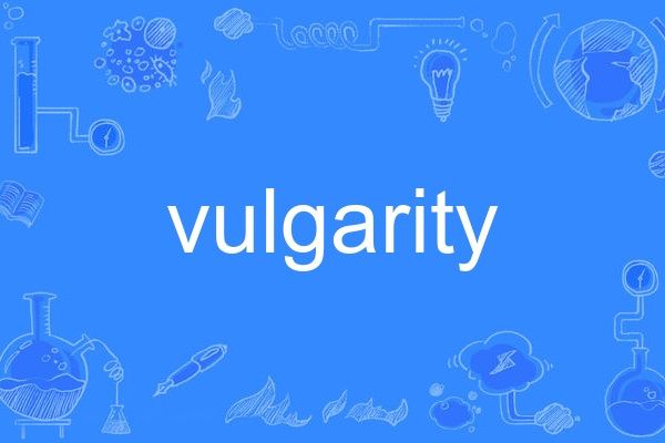 vulgarity vulgarity