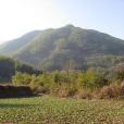 田門村 田門村