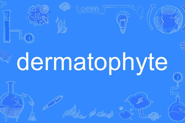 dermatophyte dermatophyte