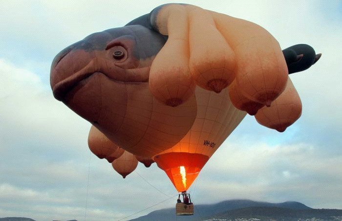 天空之鯨(巨型熱氣球)