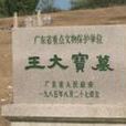 王大寶(宋朝大臣)