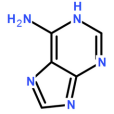 1H-嘌呤-6-胺 1H-嘌呤-6-胺