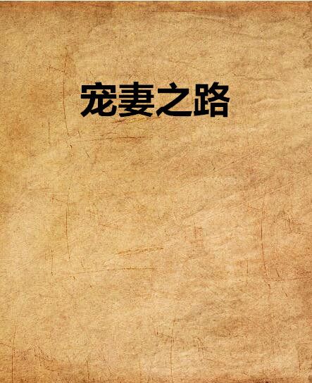 寵妻之路(夜小雪創作的小說) 寵妻之路(夜小雪創作的小說)