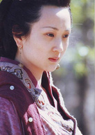 秦始皇(2001年張豐毅主演電視劇)