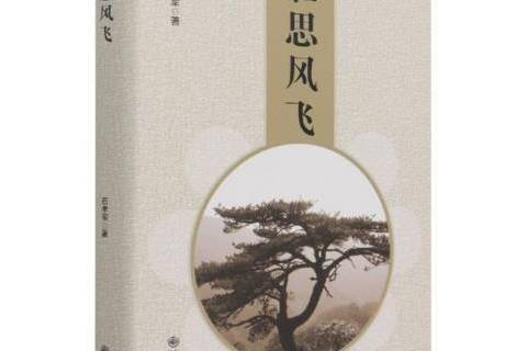 壯思風飛 壯思風飛