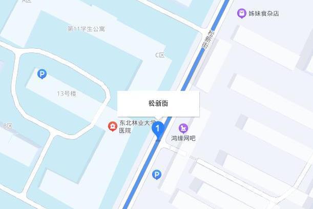 松新街 松新街