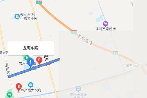 龍河路(中國江蘇省泰州市泰興市境內道路) 龍河路(中國江蘇省泰州市泰興市境內道路)