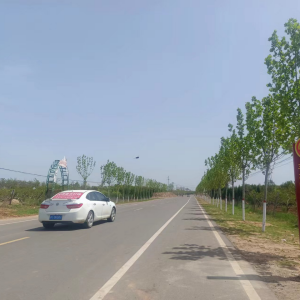 郟縣(河南郟縣)